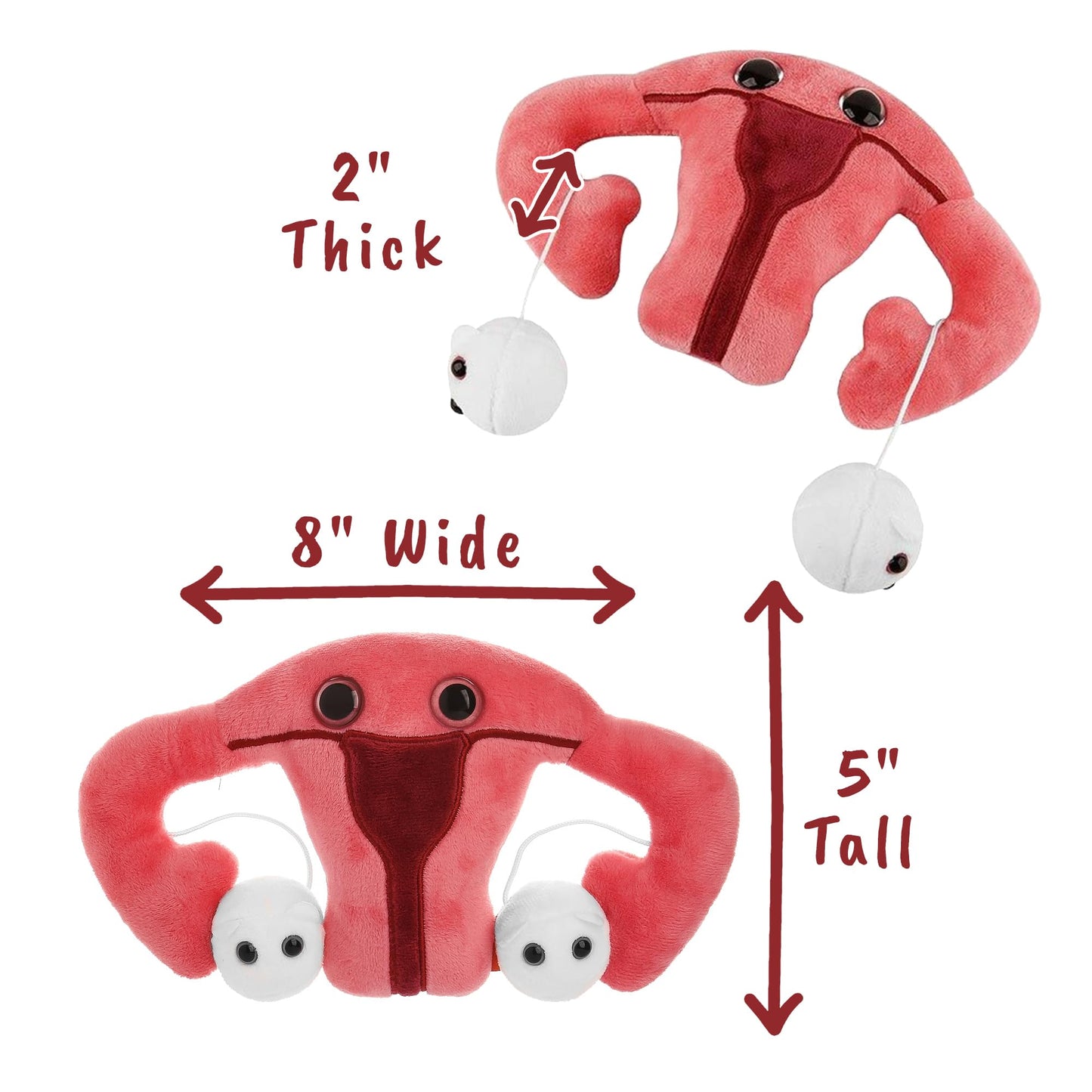 GIANTmicrobes Uterus Plush -Stuffed Uterus with Magnetic Detachable Ovaries
