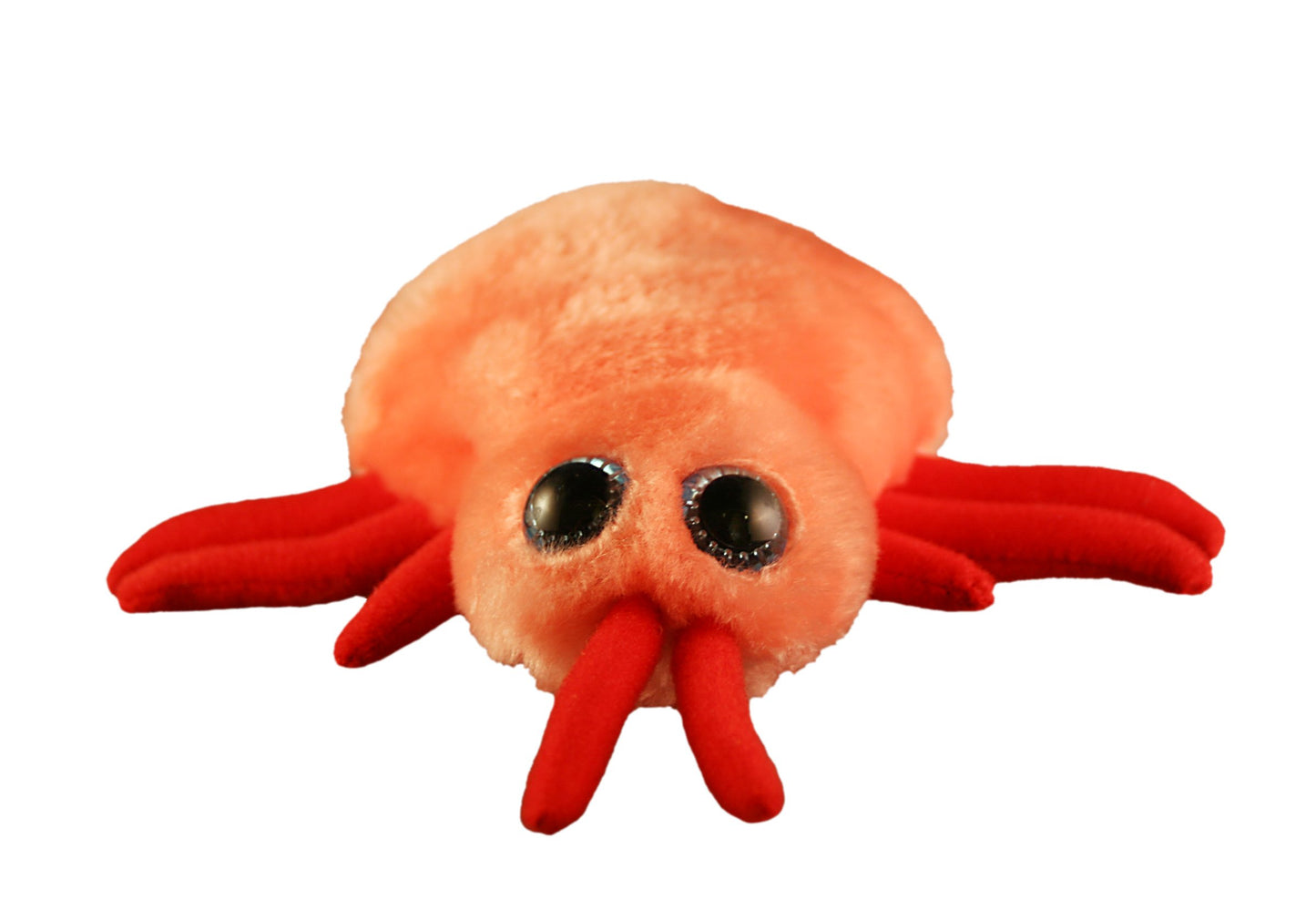 GIANTmicrobes Bed Bug Plush - Learn About This Common Crawler with This Cuddly Plush, Unique Gift for Friends, Family, Educators, Students