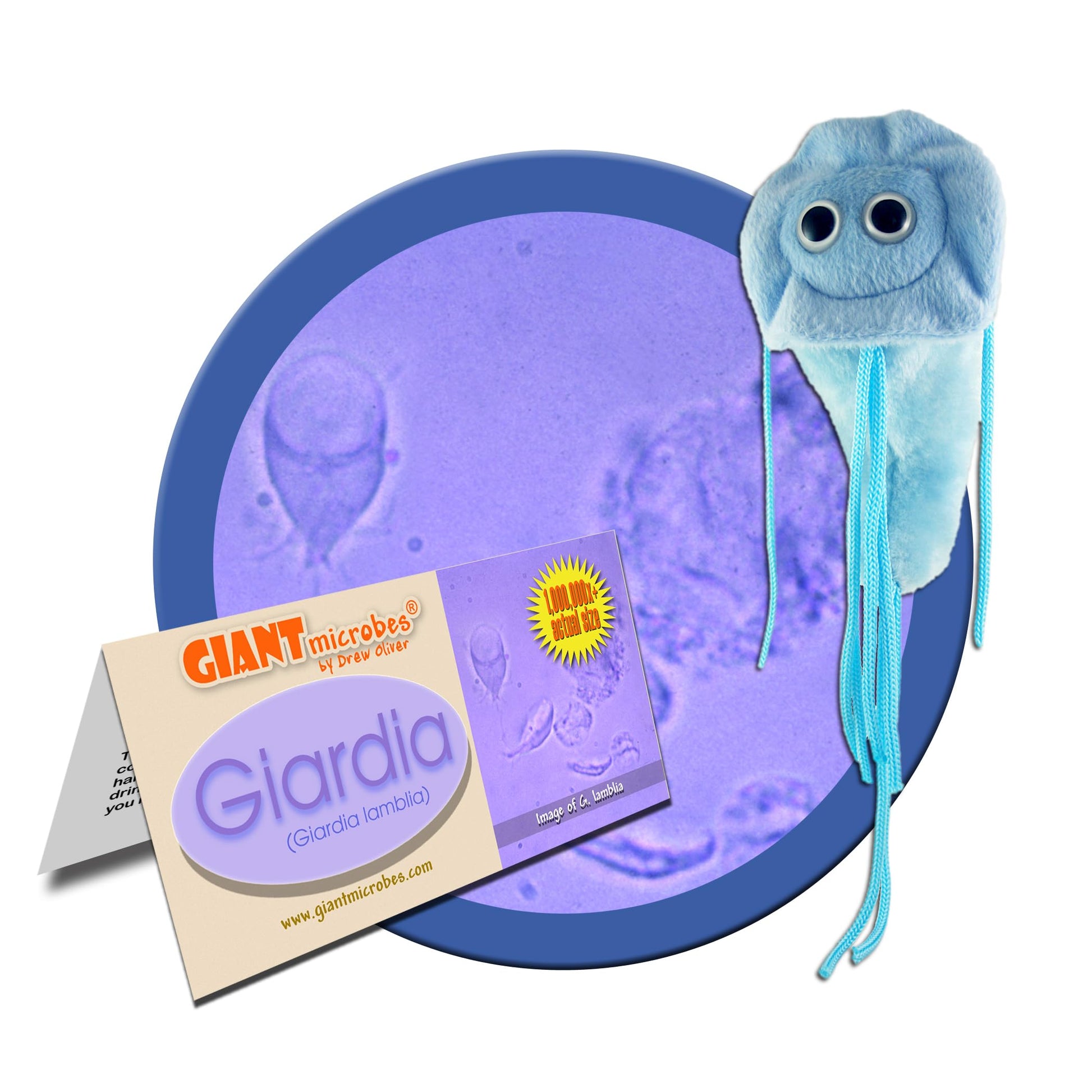 GIANTmicrobes Giardia Plush - Learn About Nature and Biology with This Educational Gift for Family, Friends, Travelers, Water Treatment, Scientists