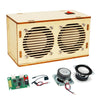 DIY Bluetooth Speaker Kit, Stem Projects for Kids Ages 8-12, Science STEM Kits for Kids Ages 10-12-14-16, Gifts for 9 10 11 12 13 14 15 16 Year Old