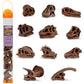 Safari Ltd Dinosaur Skulls TOOB - 11 Mini Figurines Including Velociraptor, Brachiosaurus, Oviraptor, Triceratops, Tyrannosaurus Rex and More