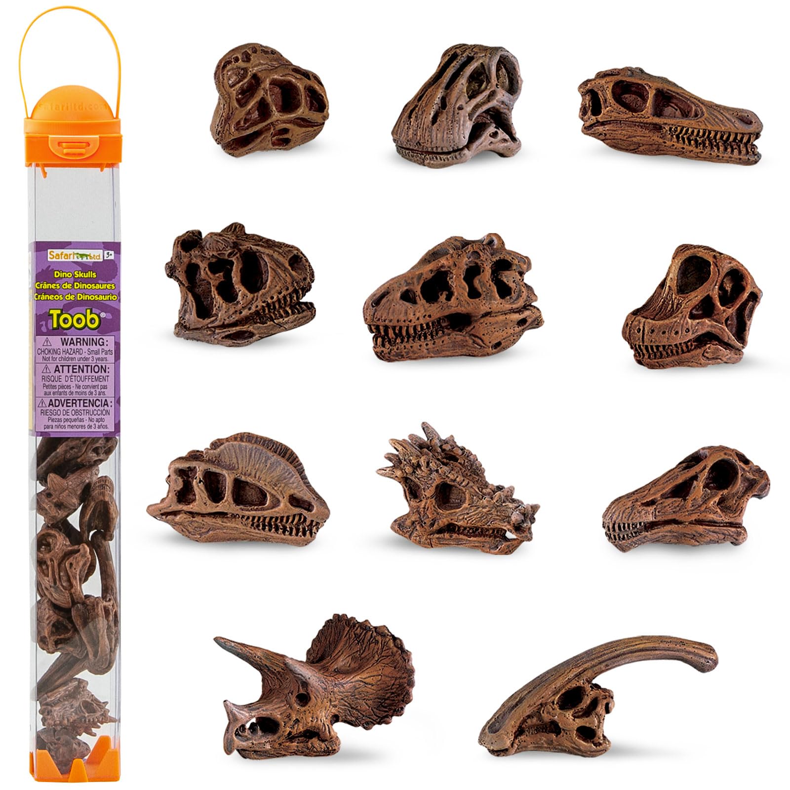 Safari Ltd Dinosaur Skulls TOOB - 11 Mini Figurines Including Velociraptor, Brachiosaurus, Oviraptor, Triceratops, Tyrannosaurus Rex and More