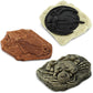 Safari Ltd. Ancient Fossils TOOB - Figurines: Dino Footprint, Giant Crab, Ammonite, Raptor Claw, T-Rex Tooth, Frog Skeleton, Sea Scorpion & More