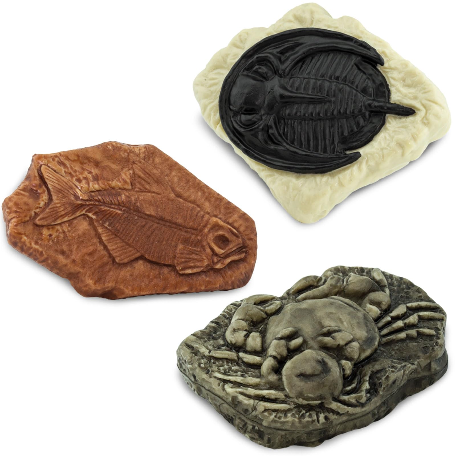 Safari Ltd. Ancient Fossils TOOB - Figurines: Dino Footprint, Giant Crab, Ammonite, Raptor Claw, T-Rex Tooth, Frog Skeleton, Sea Scorpion & More