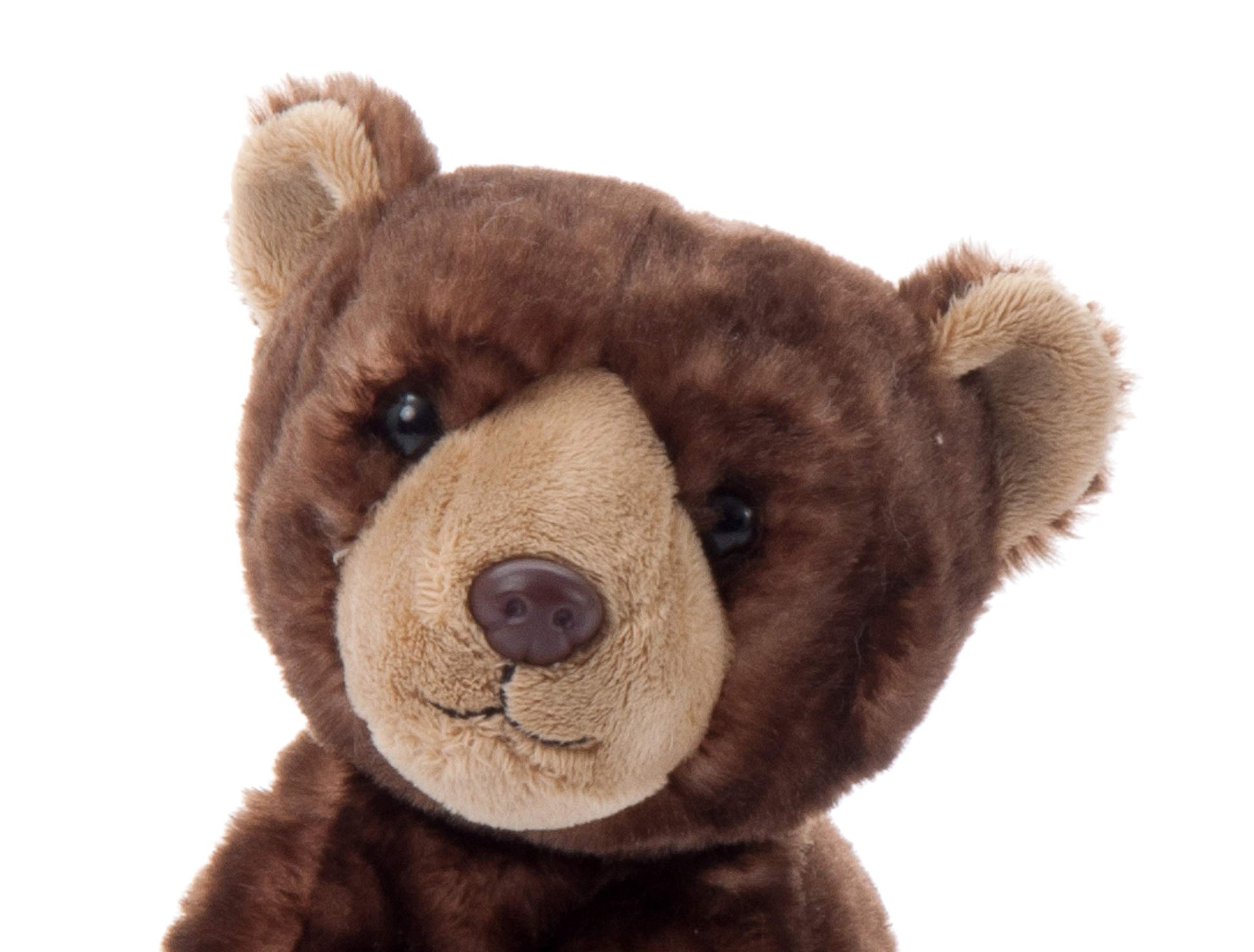 The Petting Zoo Brown Bear Stuffed Animal, Gifts for Kids, Wild Onez Zoo Animals, Brown Bear Plush Toy 9 inches