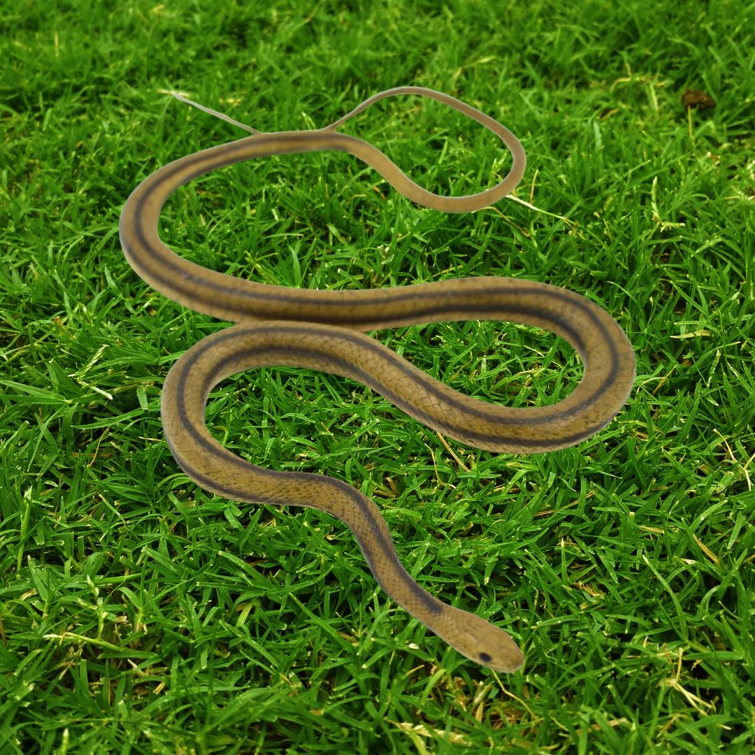 MameJo Lifelike 48" Yellow Rat Snake - Realistic Rubber Snake Replica for Pranks, Garden Decor, and Educational Play