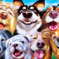 MasterPieces - Jigsaw Puzzle Set for Kids 6+ Years, 4-Pack of 100 Pieces, Educational and Fun Game, Silly Animals Collection, Gift Idea for Children