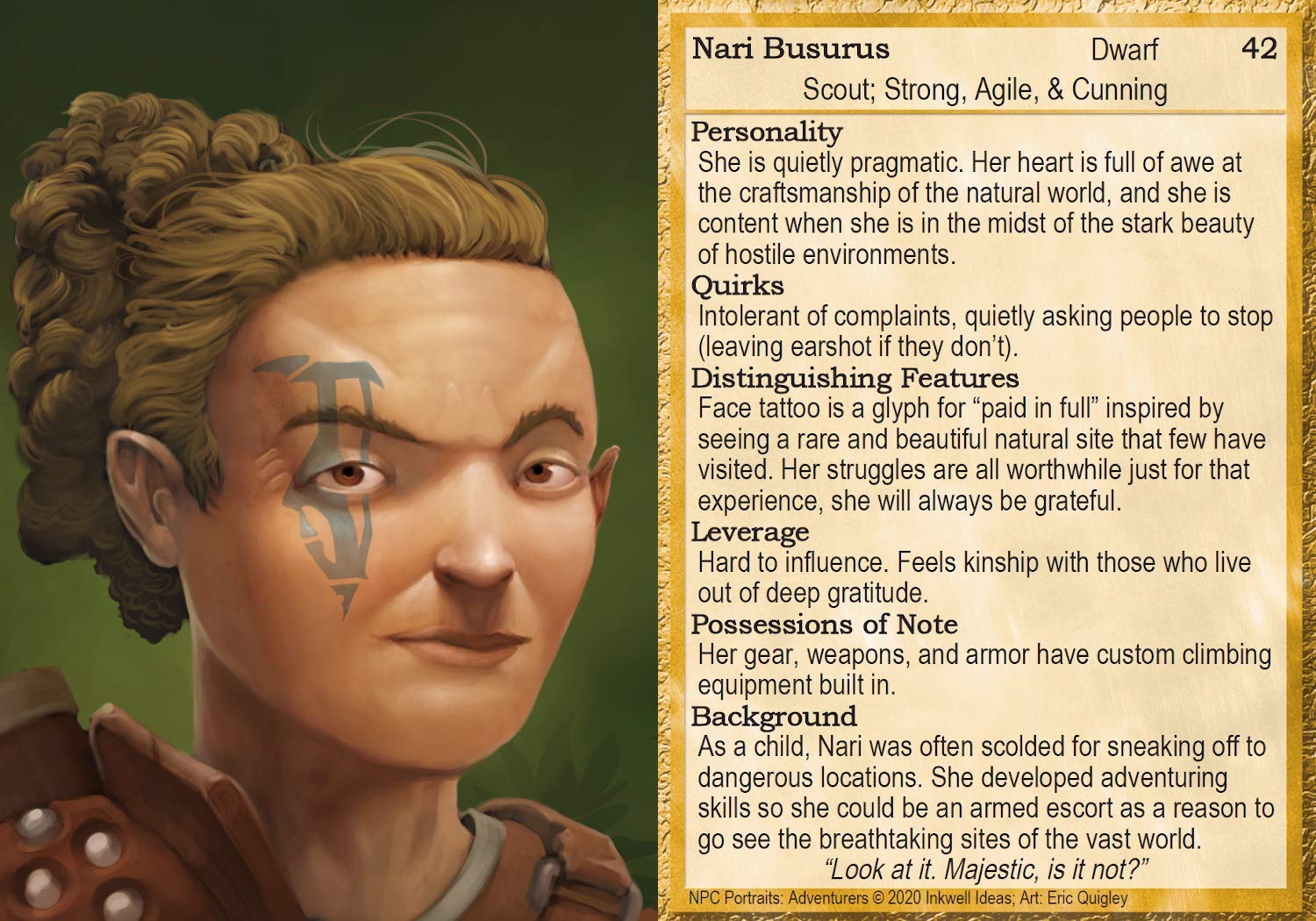 Inkwell Ideas NPC Portraits Deck Adventurers