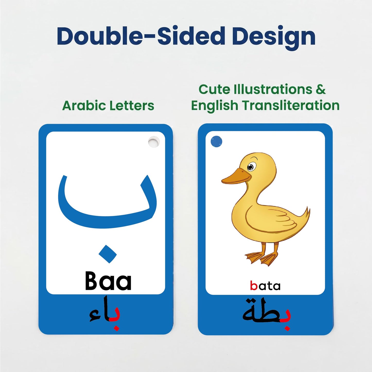 YIYDONG Arabic Alphabet Flash Cards for Kids Toddler, Learning Arabic Letters Flashcards with English Transliteration for Kindergarten, Preschool