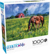 Buffalo Games - Near and Dear - 1000 Piece Jigsaw Puzzle for Adults