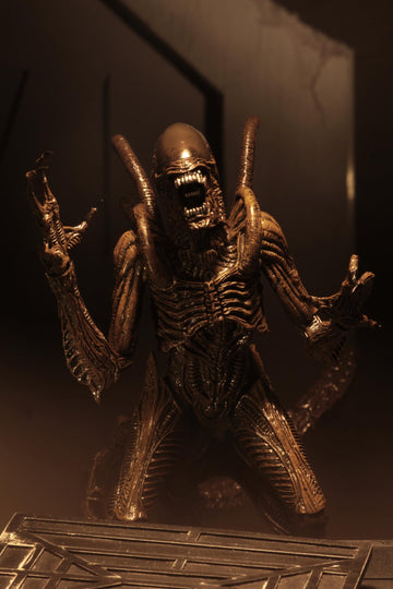 NECA Aliens - 7" Scale Action Figure - Series 14 - Alien Resurrection Warrior