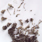 Copernicus Toys Real Owl Pellet kit Dissect Real owl pellets | Bone Chart Included