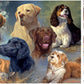 Buffalo Games - Treasured Friends - 750 Piece Jigsaw Puzzle for Adults