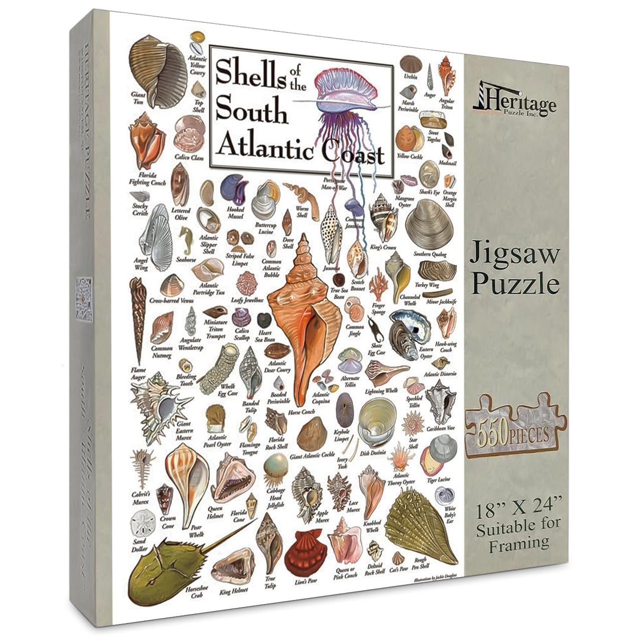 Heritage Puzzle - Shells of The South Atlantic Coast by John & Jackie Leatherbury Douglass 550 Piece Puzzles for Adults - Marine Life Art - Frameable