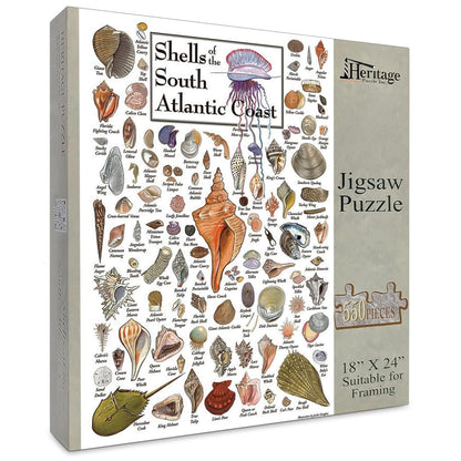 Heritage Puzzle - Shells of The South Atlantic Coast by John & Jackie Leatherbury Douglass 550 Piece Puzzles for Adults - Marine Life Art - Frameable
