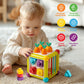 Seozio Montessori Activity Cube Toys for Baby, 6-in-1 Shape Sorting Toy, Fine Motor Learning Game for Toddlers 1-3