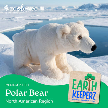 The Petting Zoo Polar Bear Stuffed Animal Plushie, Gifts for Kids, Earth Keeperz Wildlife Animals, Zoologee White Polar Bear Plush Toy, 14 inches
