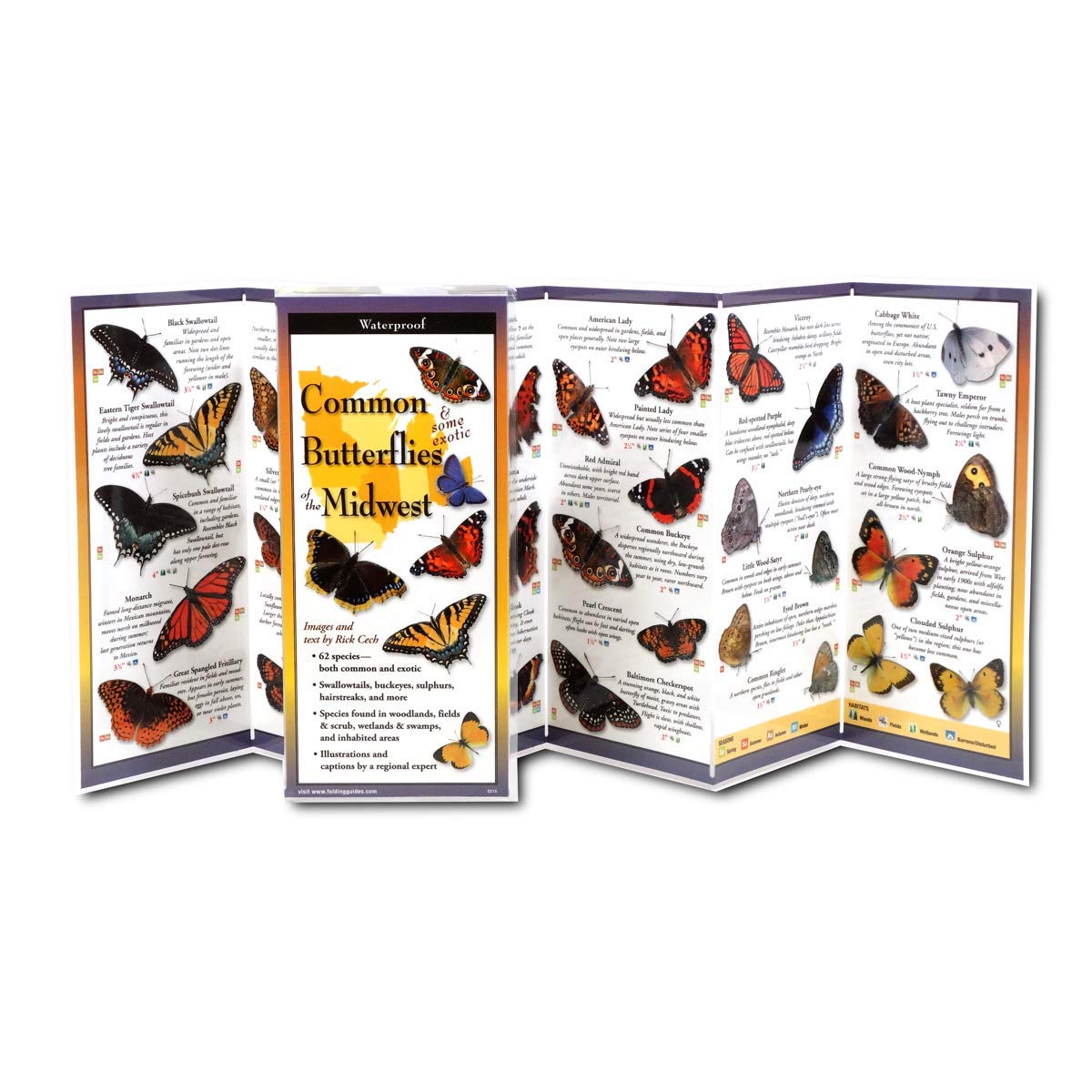 Earth Sky + Water FoldingGuide� - Common Butterflies of the Midwest - 10 Panel Foldable Laminated Nature Identification Guide