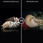 Nautilus Stuffed Animal, Realistic Nautilus Plush Toy, Lifelike 8 Inch Nautilus Toy, Stuffed Cuddly Soft Sea Creatures Nautilus Model Plush Toy, Gift