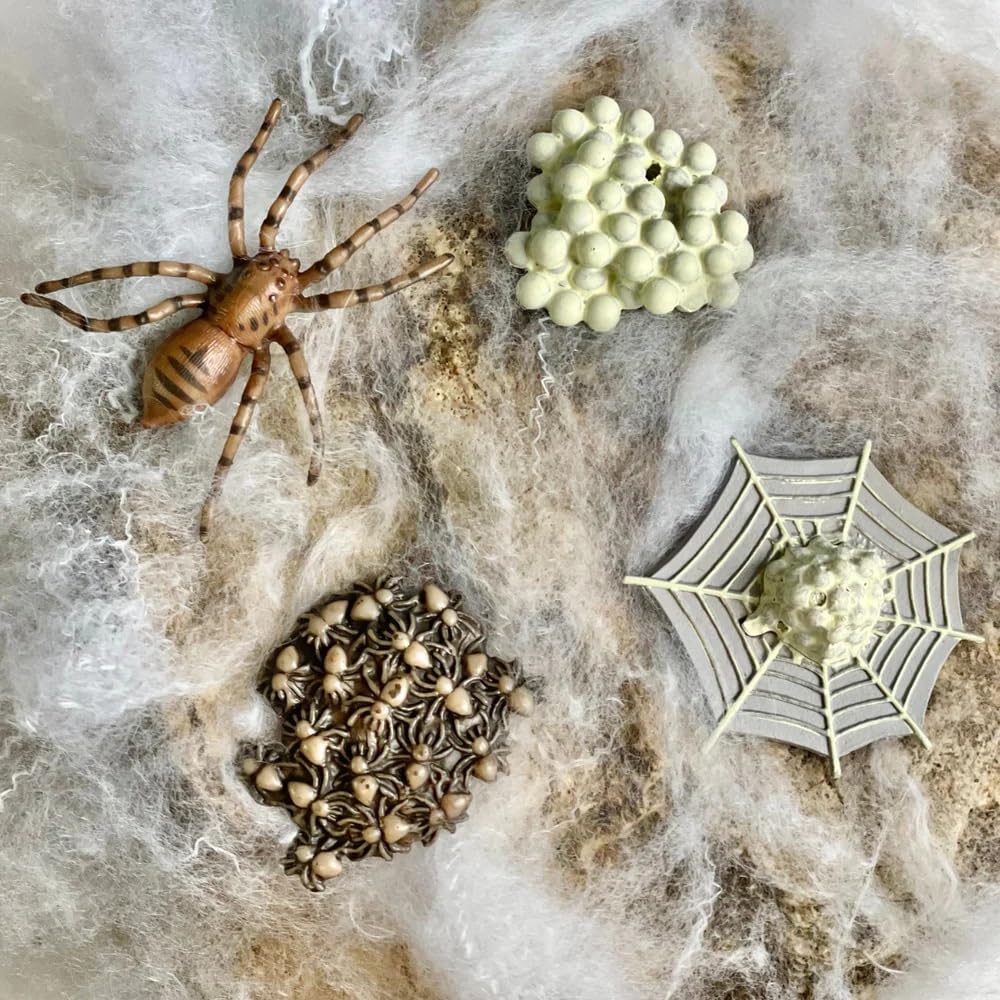 Safari Ltd. Safariology Life Cycle Series Life Cycle of a Spider Toy Figure for Boys and Girls - Ages 3+