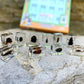 Geoworld 10 Insect Specimens Set - Real Beetles, Scorpions, Crickets in Resin with Magnifying Glass & Booklet - Great for Science Projects - Kids