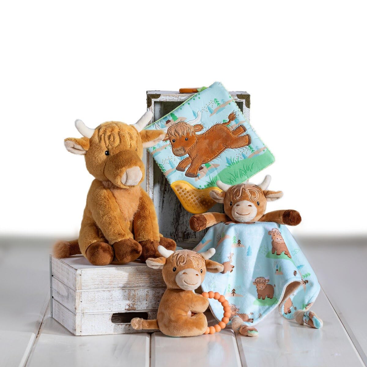 Mary Meyer Crinkle Teether Toy with Baby Paper and Squeaker, 6 x 6-Inches, Hetty Highland Cow
