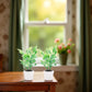 2Pcs Green Miniature Plants Dollhouse Decoration Accessories, Mini Potted Plant Artificial Tiny Greenery Ornament Miniature Hanging Potted Plant Faux