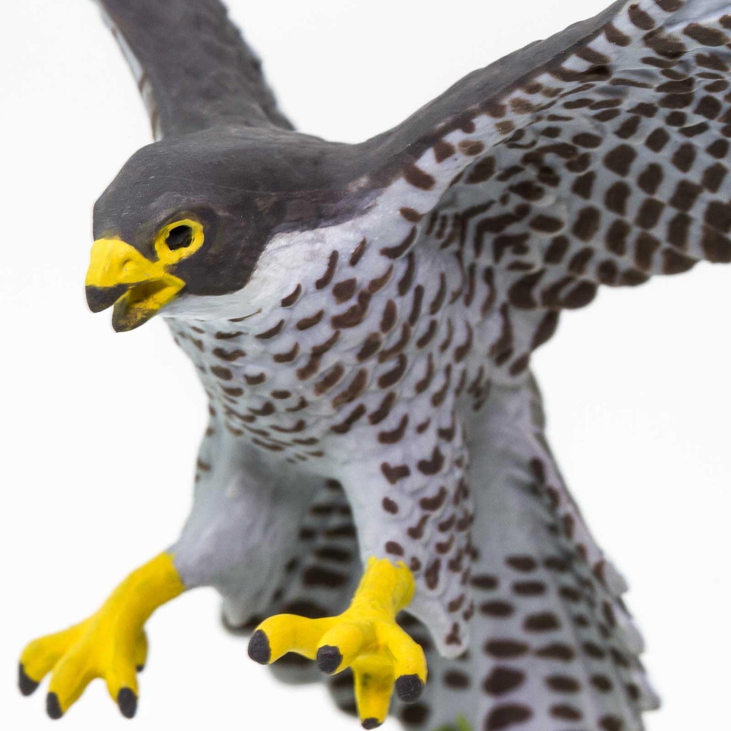 Safari Ltd. Peregrine Falcon Figurine - Detailed 3.75" Wingspan Plastic Model Figure - Fun Educational Bird Play Toy for Boys, Girls & Kids Ages 3+