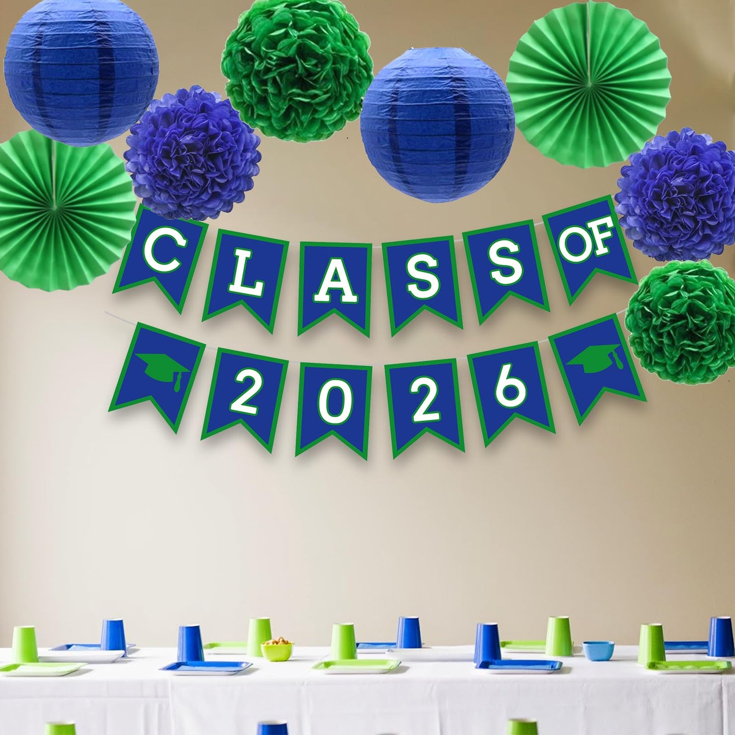DOMOO OF DREAMS Blue Green Graduation Party Decoration Class Banner Hanging Pom Poms Flowers High School College Grad Supplies