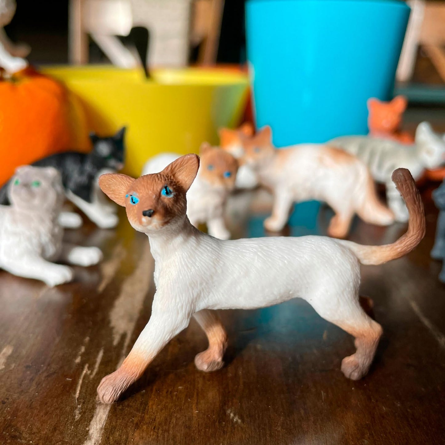 Safari Ltd. Domestic Cats TOOB - 11 Mini Figurines Including Balinese, Gray Tabby, Angora, Birman, Siamese, and More - Toy Set for Boys, Girls & Kids