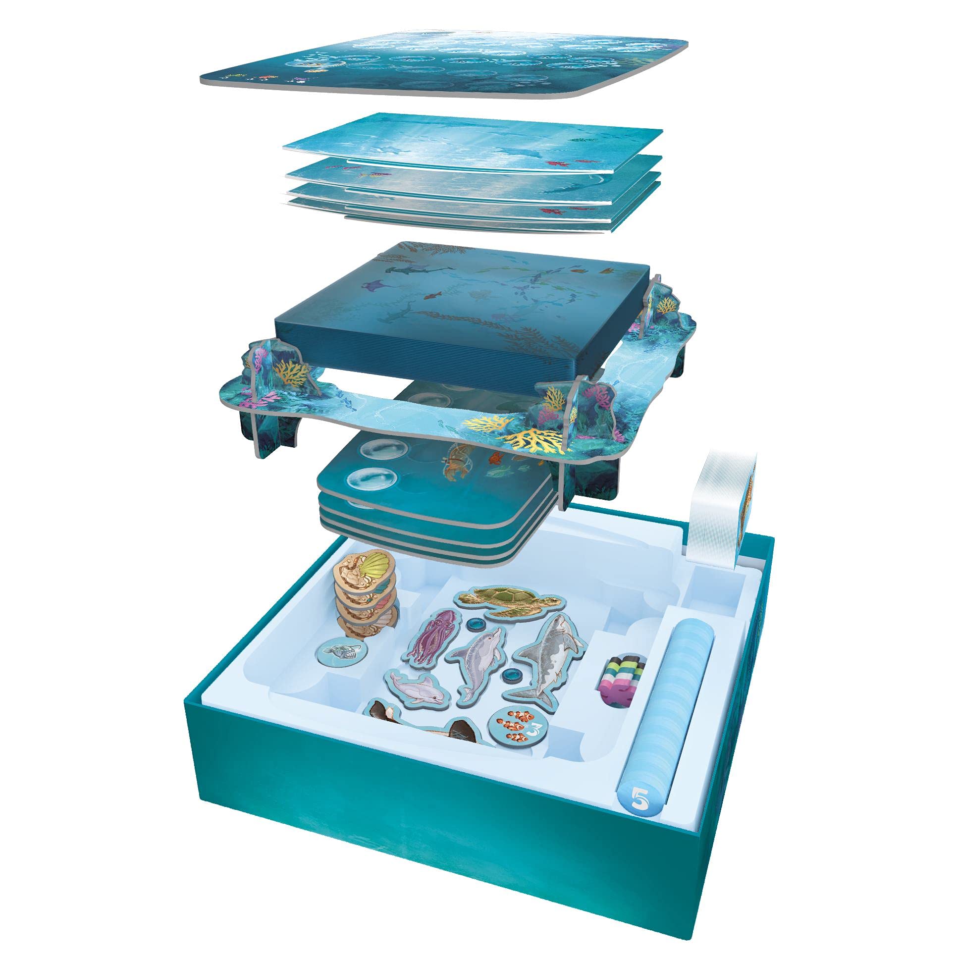 Sit Down! Dive Board Game - Unique Transparent Ocean Cards, Push Your Luck, Catch a Ride on a Sea Turtle or Dolphin - First to 23 Points Wins, 1-4