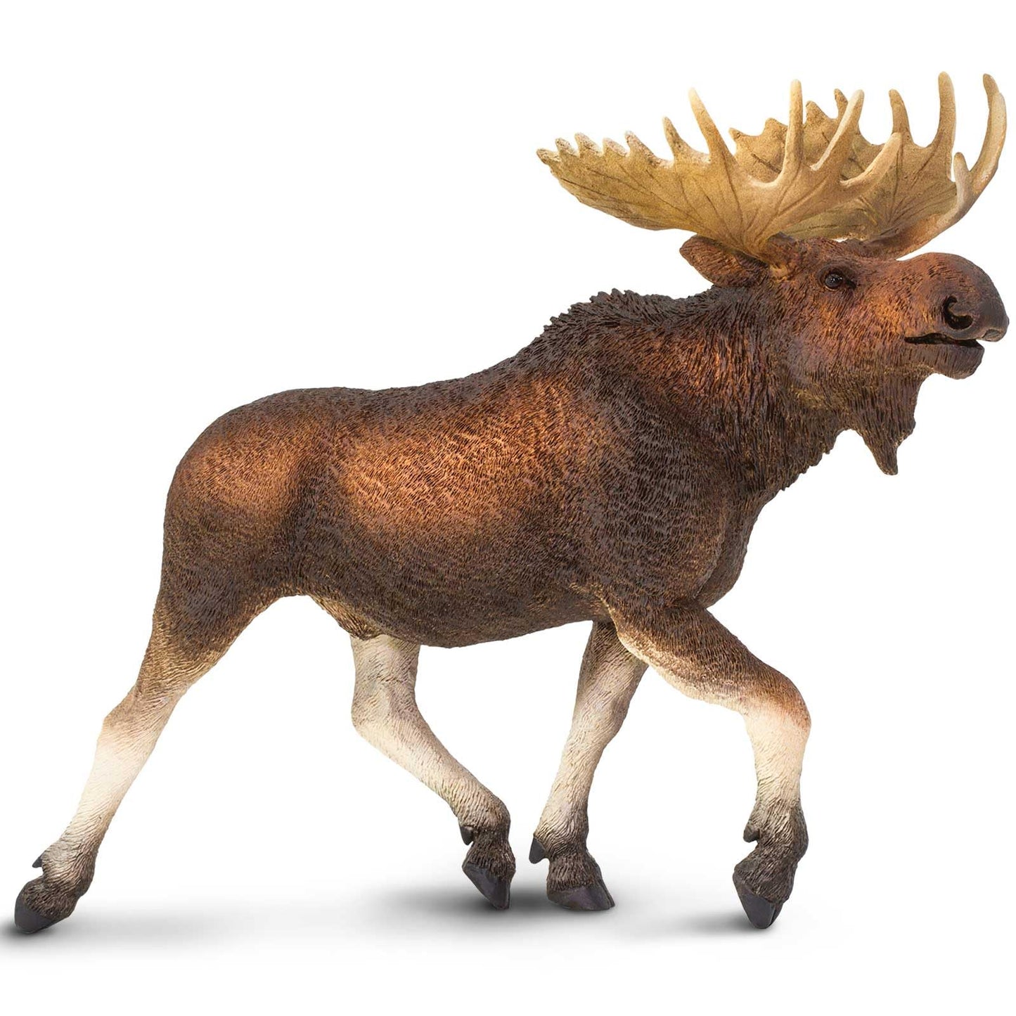 Safari Ltd. Moose Figurine - Detailed 8.9" Plastic Model Figure - Fun Educational Play Toy for Boys, Girls & Kids Ages 1+