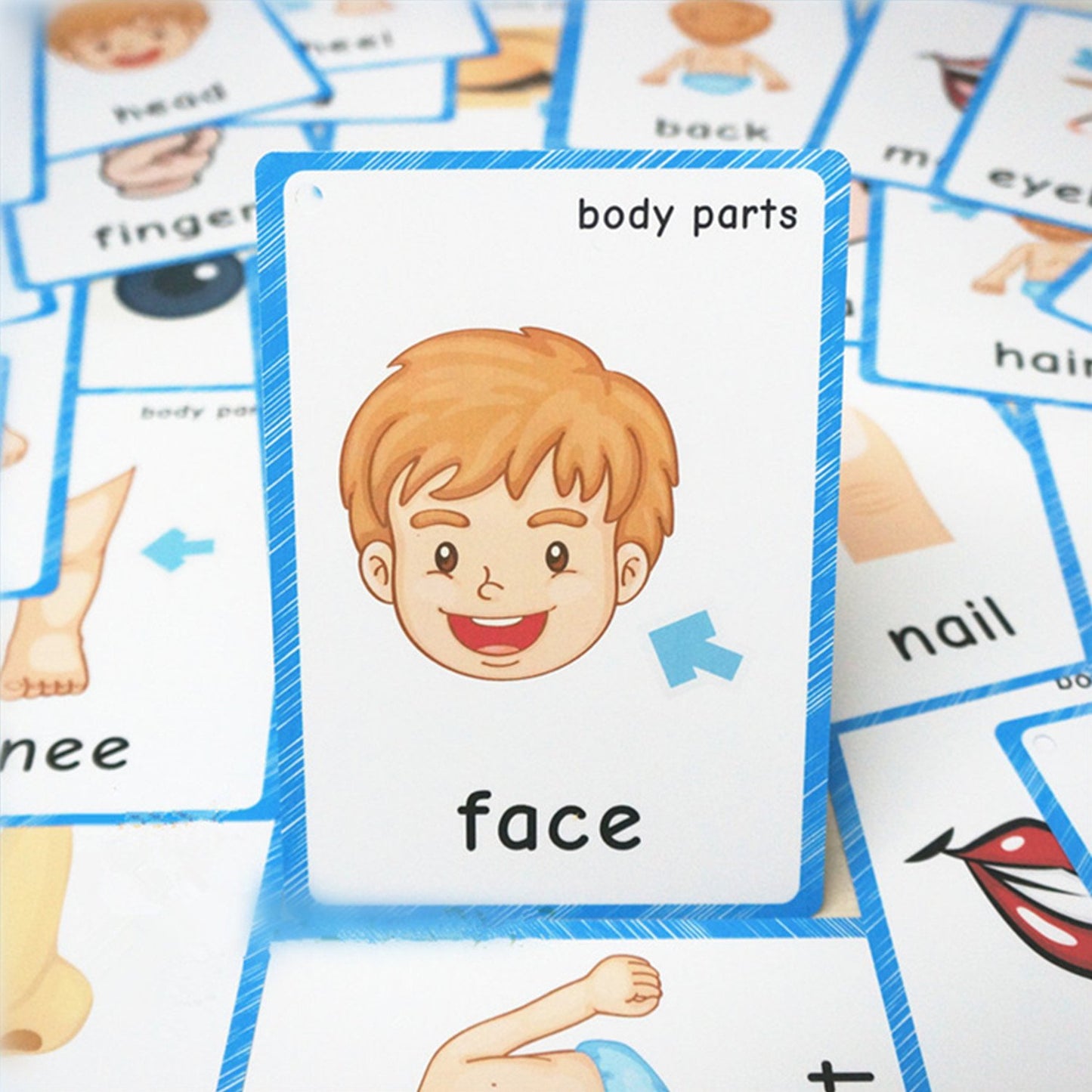 SANTSUN 36 Pieces of My Body Parts Flash Cards for Toddlers- The Flash HolePunched- So You can sort and Organize The Cards Easily and Early Learning