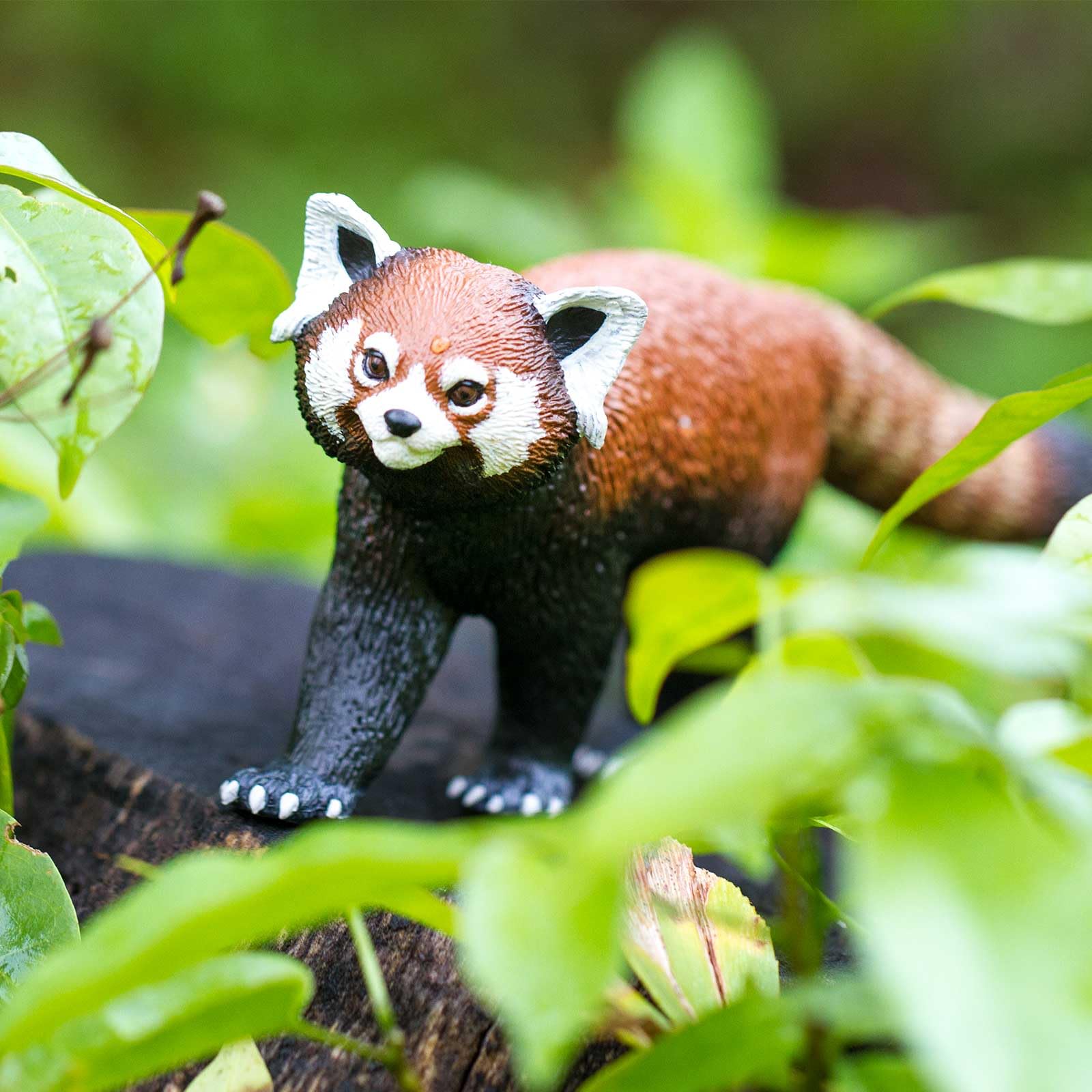 Safari Ltd. Red Panda - Realistic 8" Animal Figure - Educational Toy for Boys, Girls & Kids Ages 3+