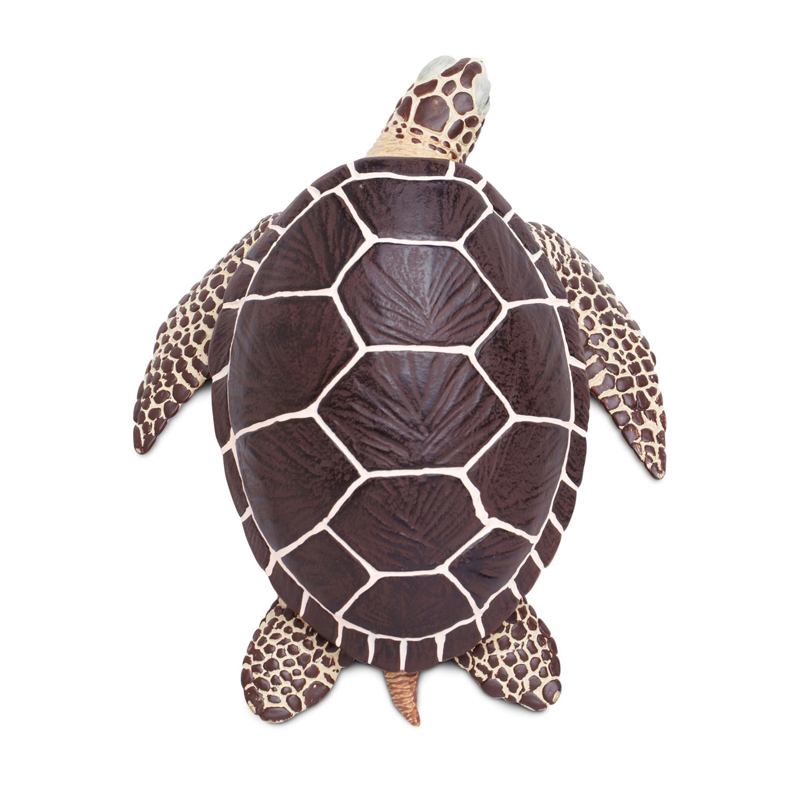Safari Ltd. Sea Turtle Figurine - Detailed 8.25" Plastic Model Figure - Fun Educational Play Toy for Boys, Girls & Kids Ages 18 Months+