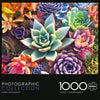 Buffalo Games - Simple Succulent - 1000 Piece Jigsaw Puzzle for Adults