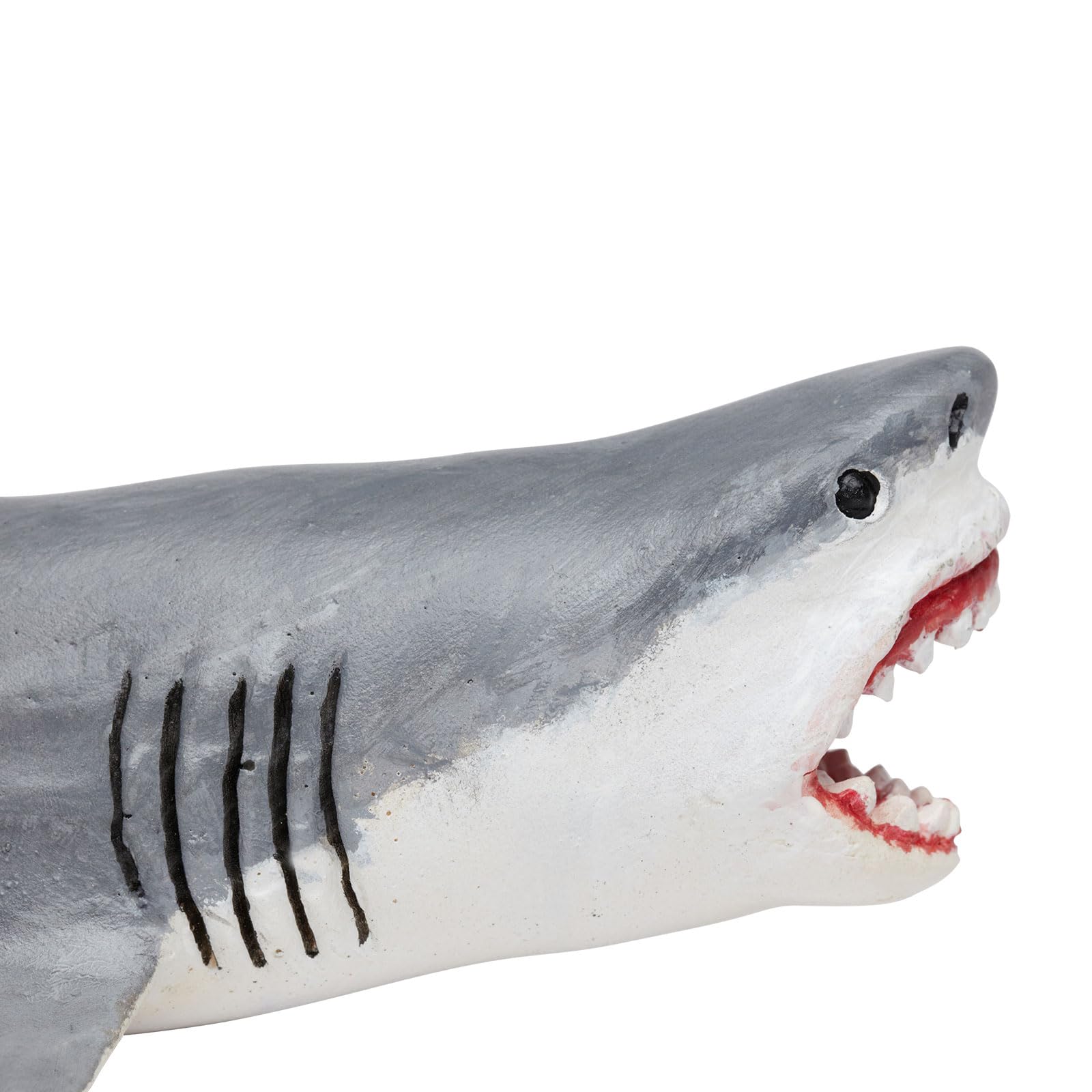 Safari Ltd. Megalodon Figurine - Detailed 7.25" Shark Figure - Educational Toy for Boys, Girls, and Kids Age 3+