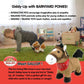 Cuddle Barn Gallop - Animated Plush Horse Toy Moves, Neighs, Sings, 10 in