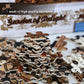 Ingooood- Jigsaw Puzzles 1000 Pieces for Adult- Tranquil Series- Garden of Delight_IG-0363 Entertainment Wooden Puzzles Toys