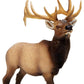 Safari Ltd. Elk Bull Figurine - Detailed 4.75" Plastic Model Figure - Fun Educational Play Toy for Boys, Girls & Kids Ages 3+
