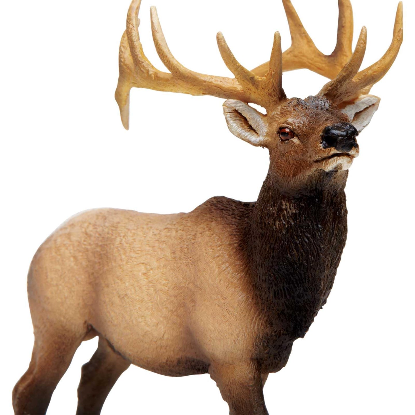 Safari Ltd. Elk Bull Figurine - Detailed 4.75" Plastic Model Figure - Fun Educational Play Toy for Boys, Girls & Kids Ages 3+
