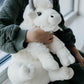 The Petting Zoo Bison Stuffed Animal Plushie, Gifts for Kids, Wild Onez Wildlife Animals, White Bison Plush Toy, 12 inches