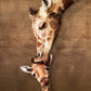 Eurographics Giraffe Mother's Kiss Puzzle, 1000-Piece