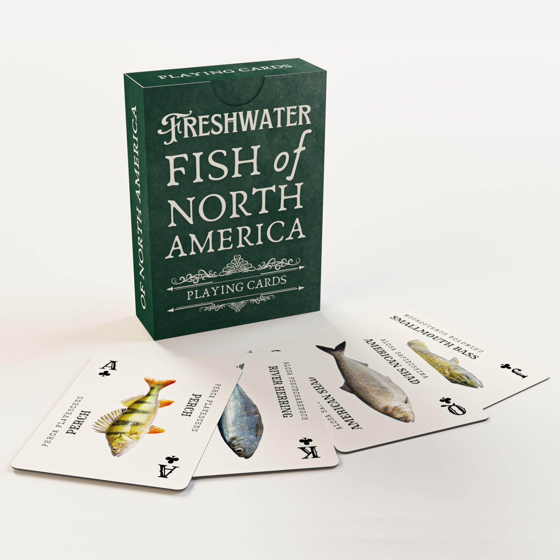 Crane Publishing Group LLC Freshwater Fish Plastic Playing Cards: Waterproof, Educational, Fits Any Fishing Tackle Box, 52 Species, Ages 60+
