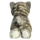 Aurora - Miyoni - 8" Grey Tabby Cat