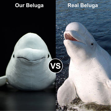 Simulation White Beluga Whale Plush Toy - Long Lifelike Delphinapterus leucas Doll Whale Stuffed Toys, Super Soft Realistic Sea Animals Beluga Whales