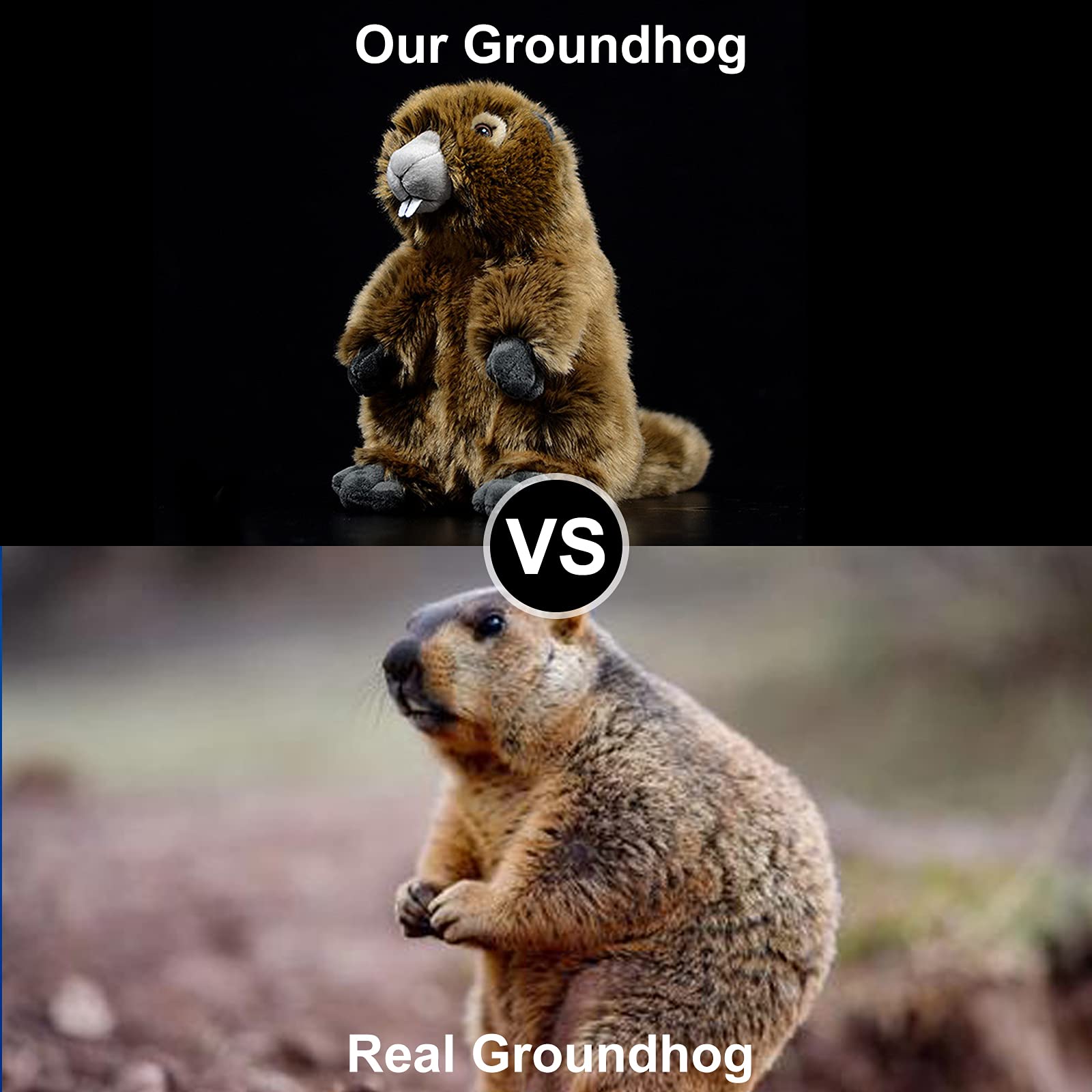 ZHONGXIN MADE Simulation Groundhog Plush Toy - Cute Real Life Greedy Groundhog Simulation Plush Toys, Lifelike Wild Animals Prairie Dog Stuffed Toys