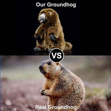 ZHONGXIN MADE Simulation Groundhog Plush Toy - Cute Real Life Greedy Groundhog Simulation Plush Toys, Lifelike Wild Animals Prairie Dog Stuffed Toys