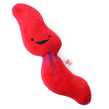 I Heart Guts Esophagus Plush - 14" Cute Educational Organ Toy for GERD & Dysphagia - Funny Get Well Gift for Nurse Patients & Medical Student STEM