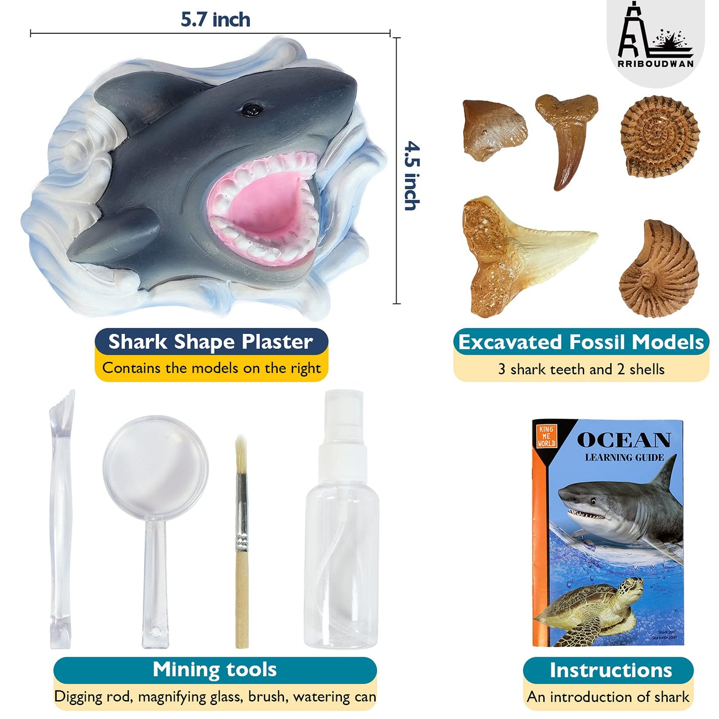 RRIBOUDWAN Shark Tooth Dig Kit, Shark Tooth Excavation Fossil, Shark Science Toy Gift for Kids Age 5+ for Holiday Birthday